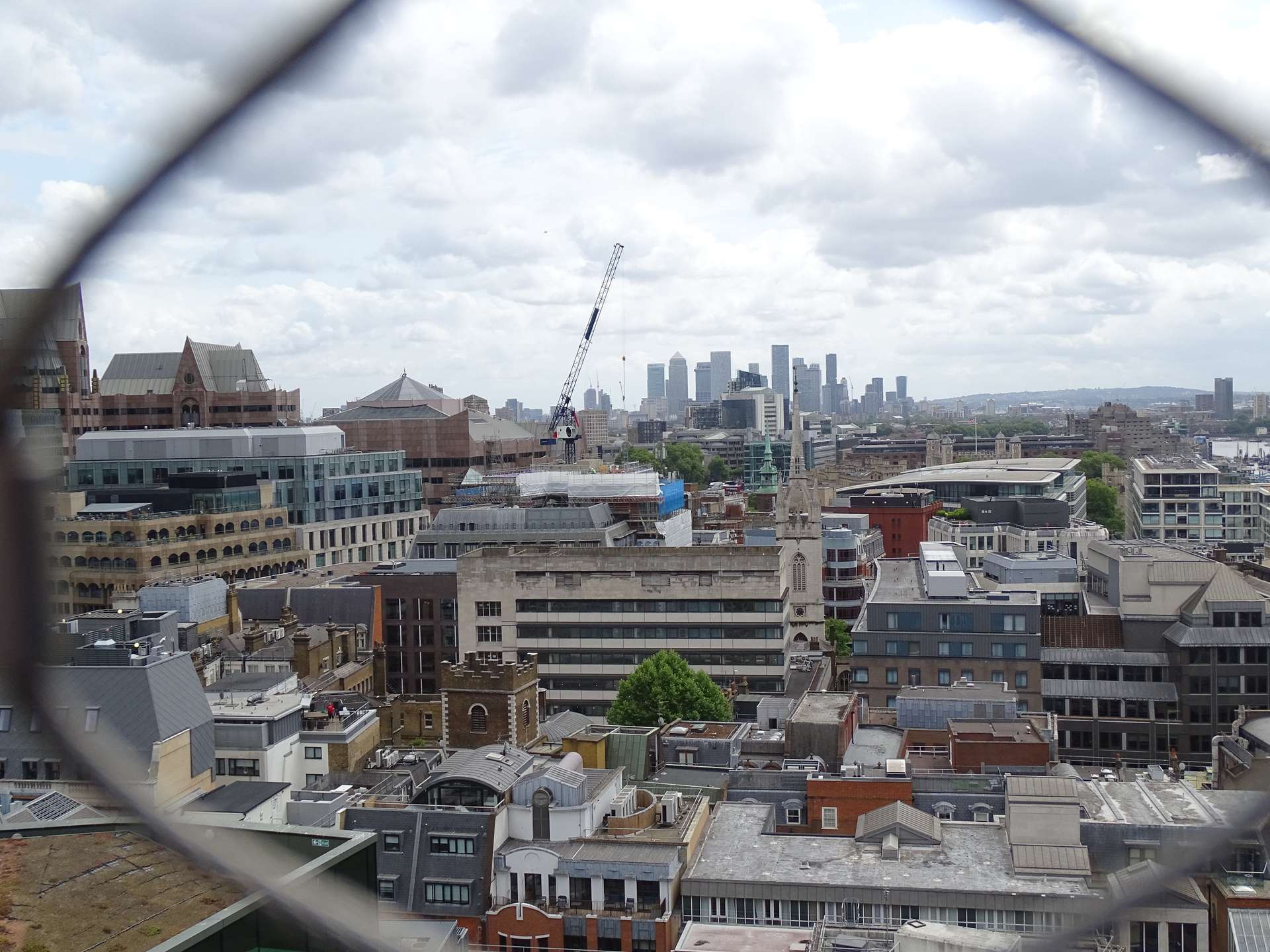 View from the Monument